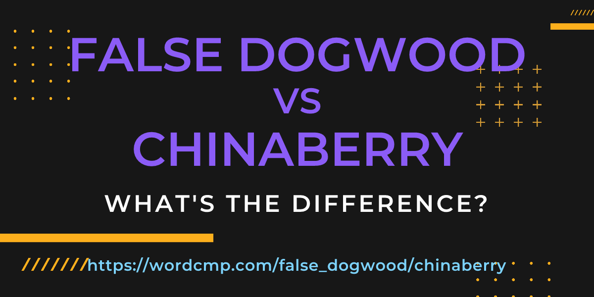 Difference between false dogwood and chinaberry