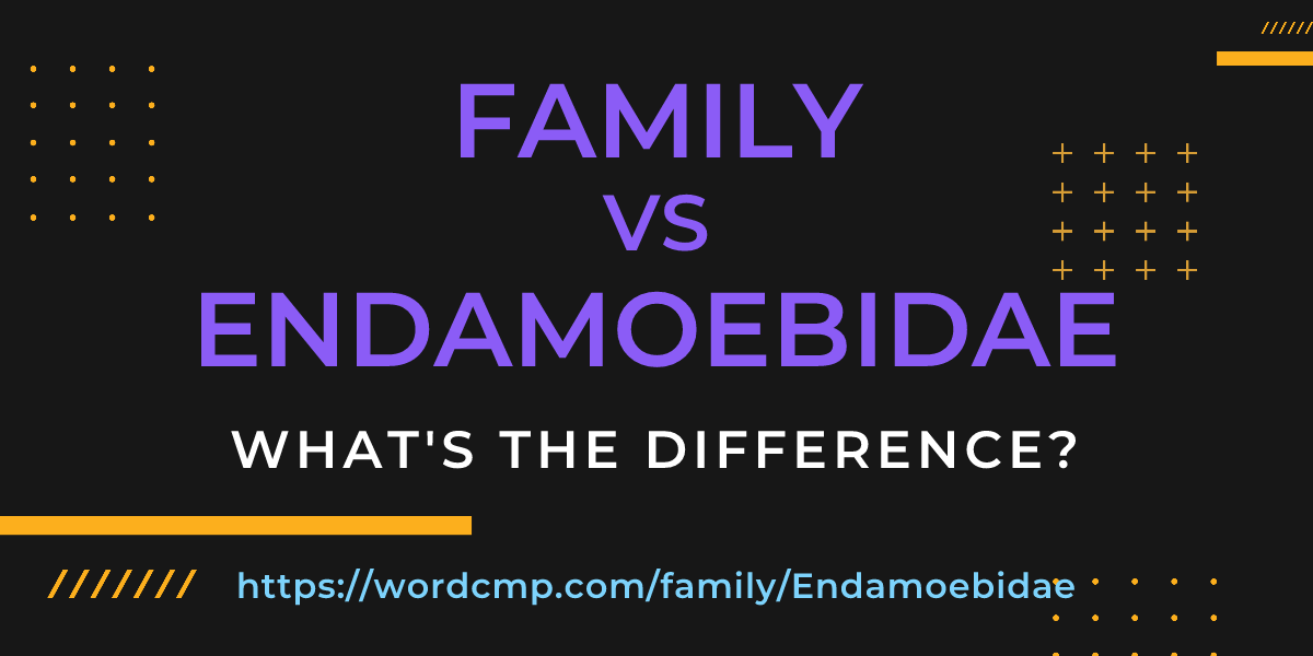 Difference between family and Endamoebidae