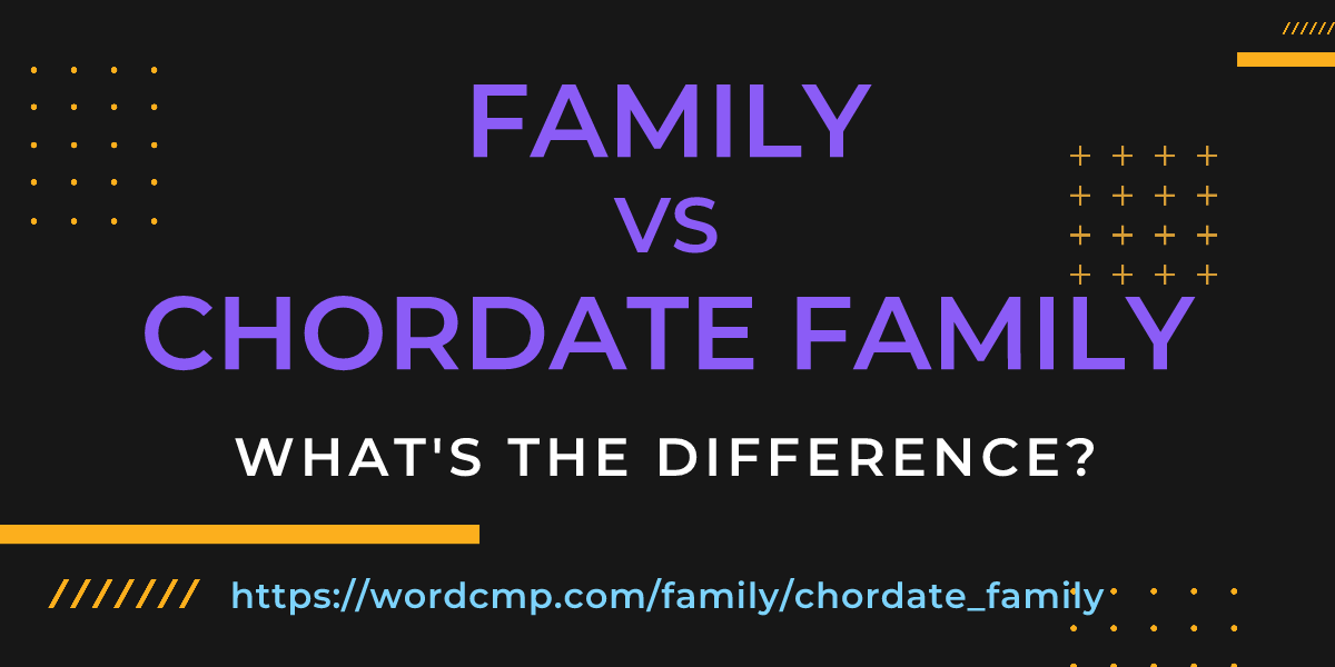 Difference between family and chordate family