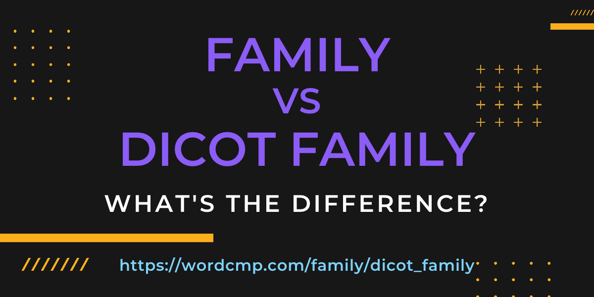 Difference between family and dicot family