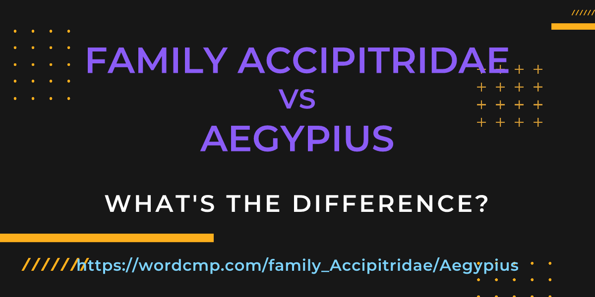 Difference between family Accipitridae and Aegypius
