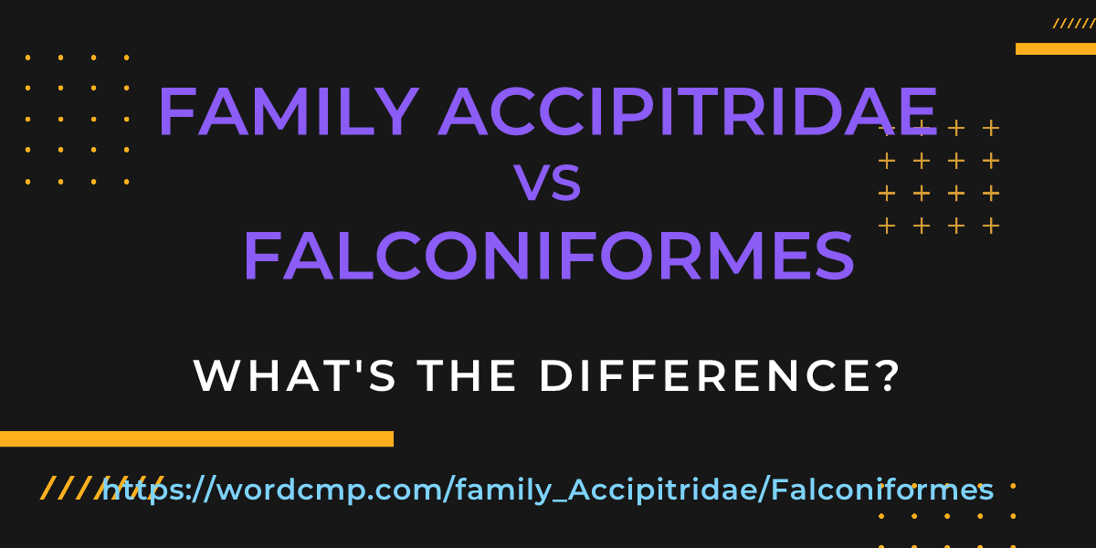 Difference between family Accipitridae and Falconiformes