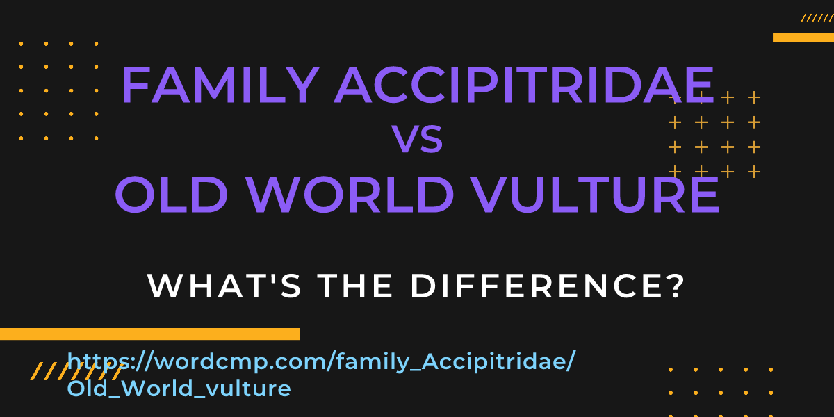 Difference between family Accipitridae and Old World vulture