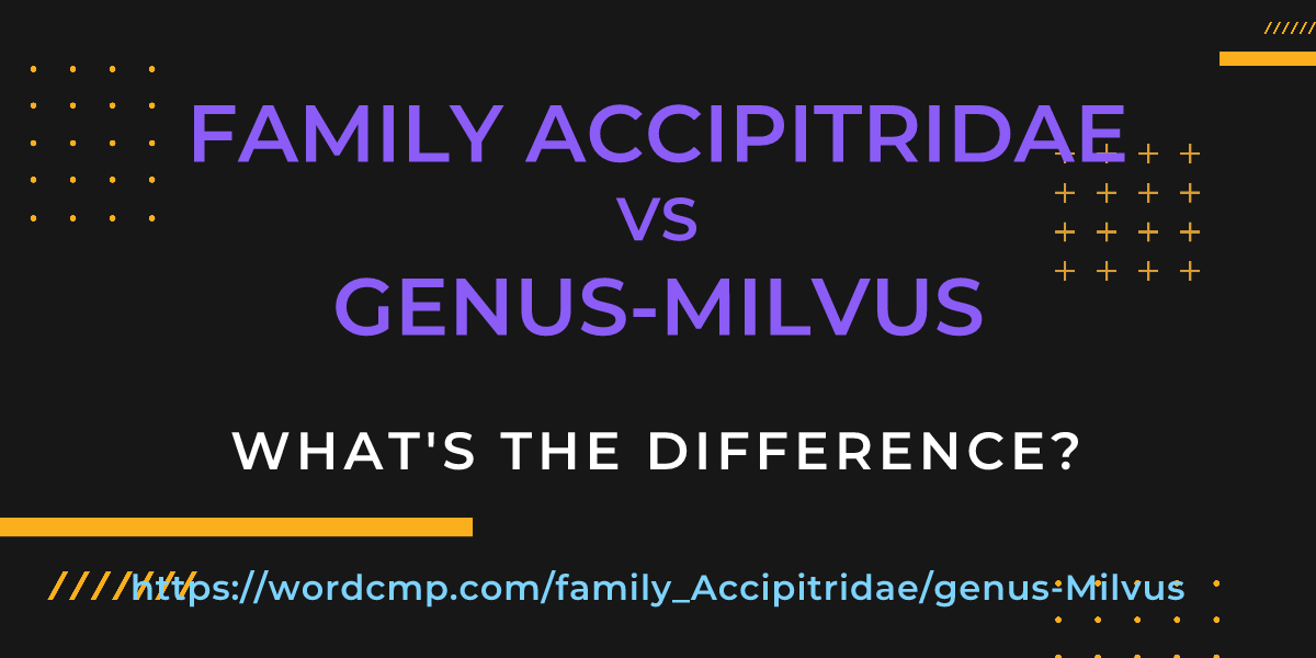 Difference between family Accipitridae and genus-Milvus