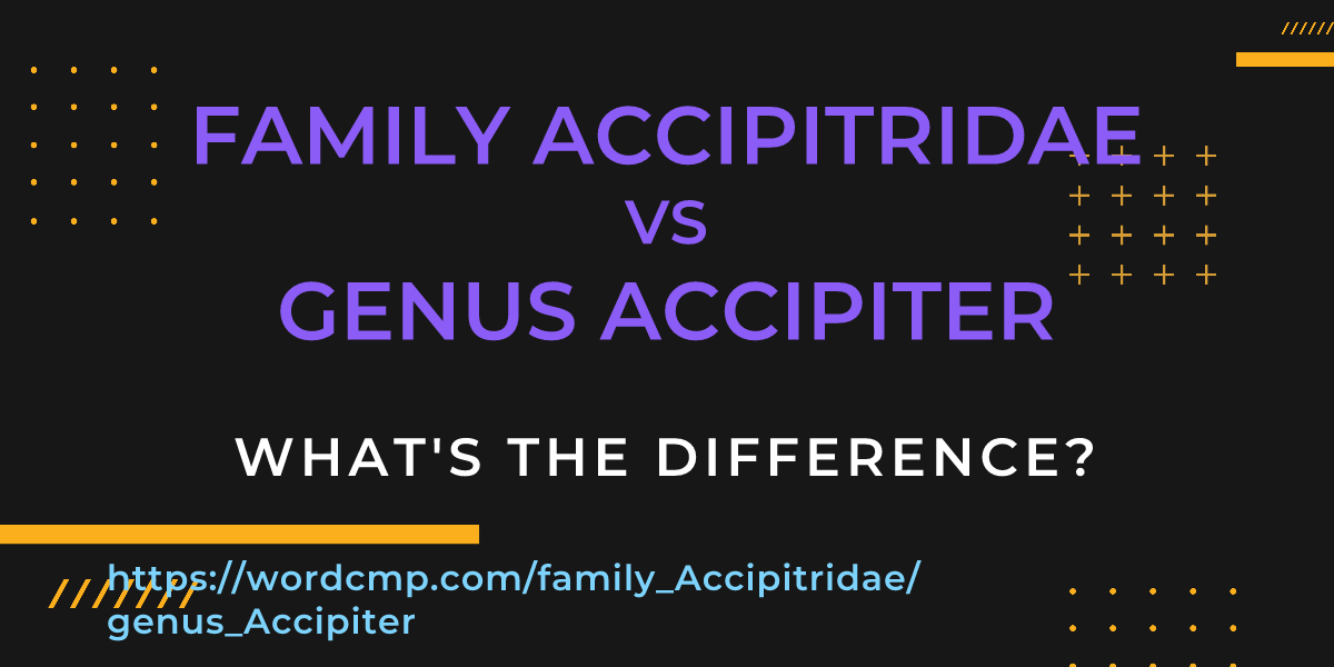 Difference between family Accipitridae and genus Accipiter