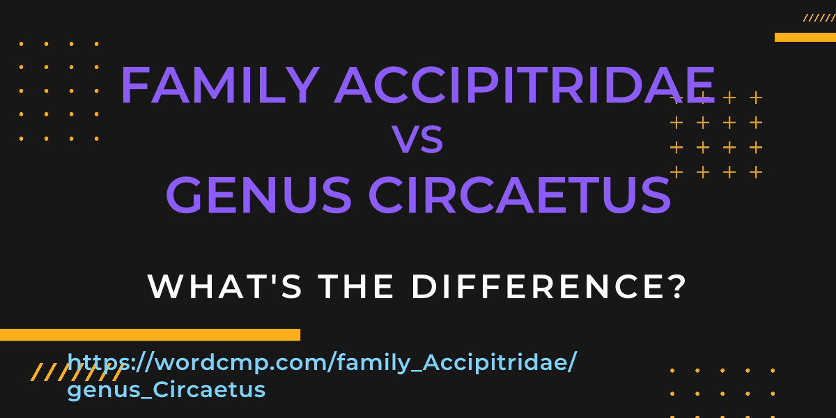 Difference between family Accipitridae and genus Circaetus