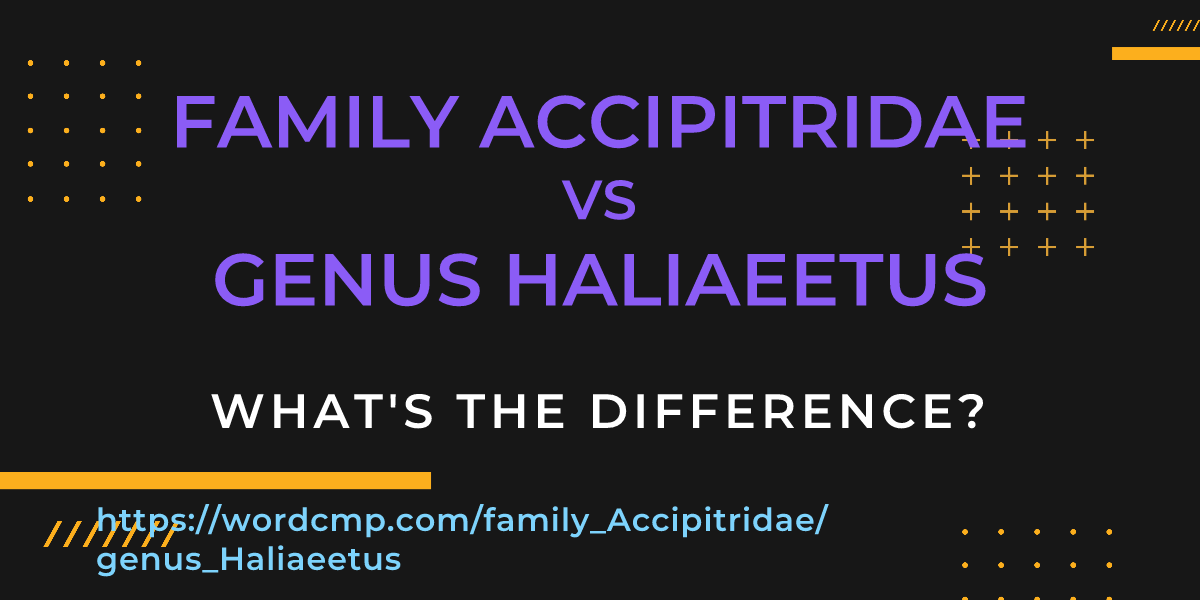 Difference between family Accipitridae and genus Haliaeetus