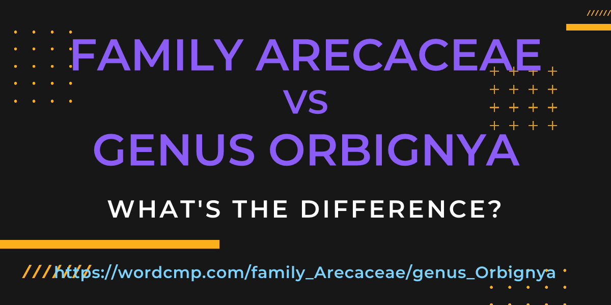 Difference between family Arecaceae and genus Orbignya