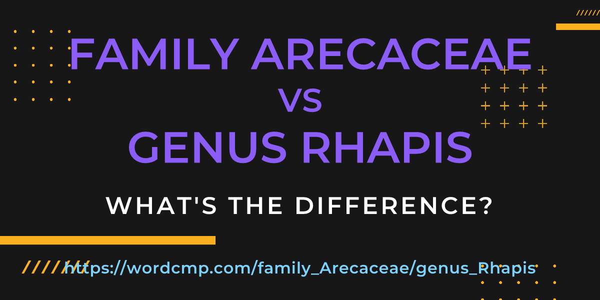 Difference between family Arecaceae and genus Rhapis