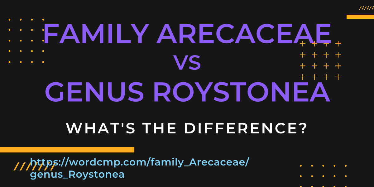 Difference between family Arecaceae and genus Roystonea
