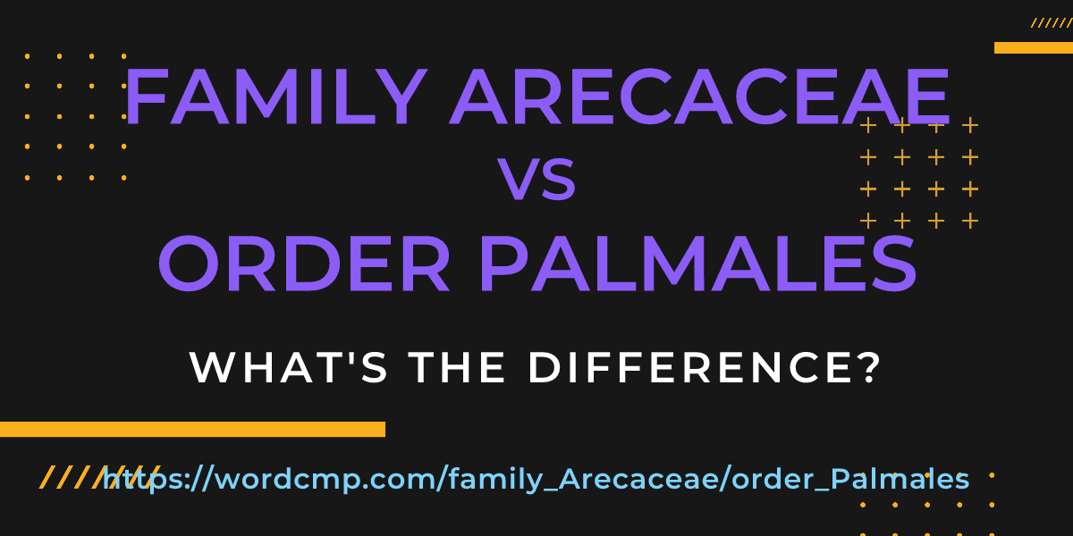 Difference between family Arecaceae and order Palmales