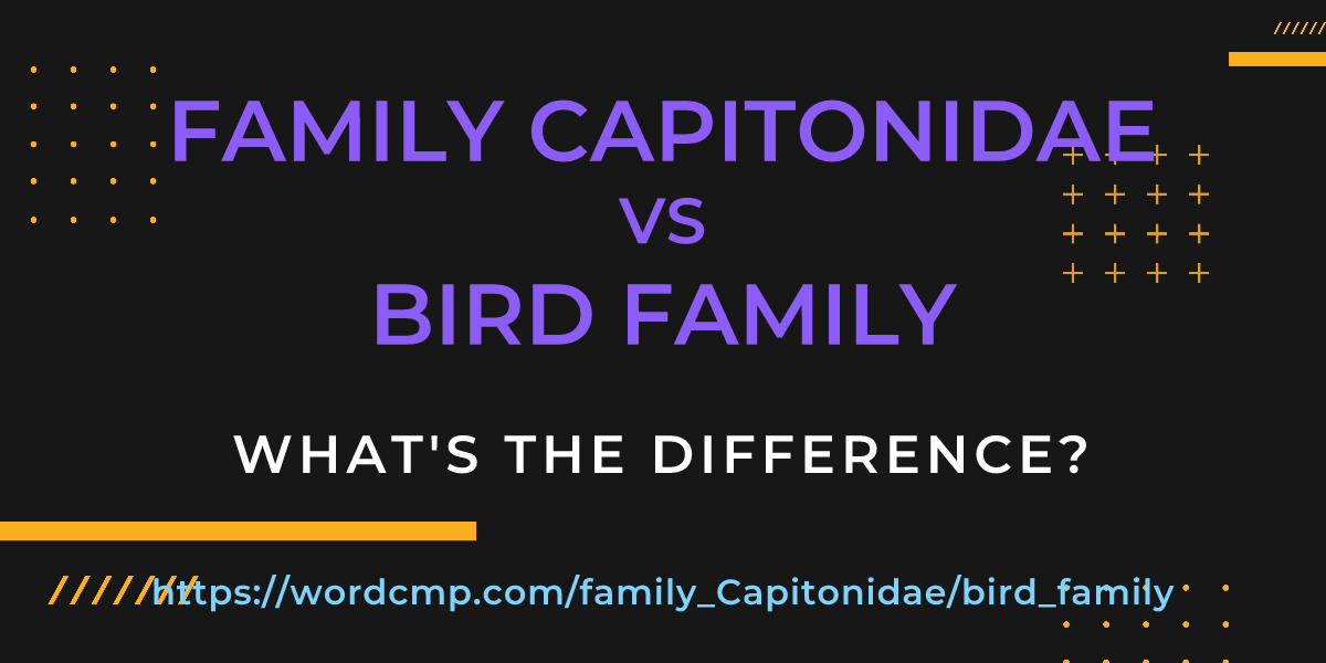 Difference between family Capitonidae and bird family