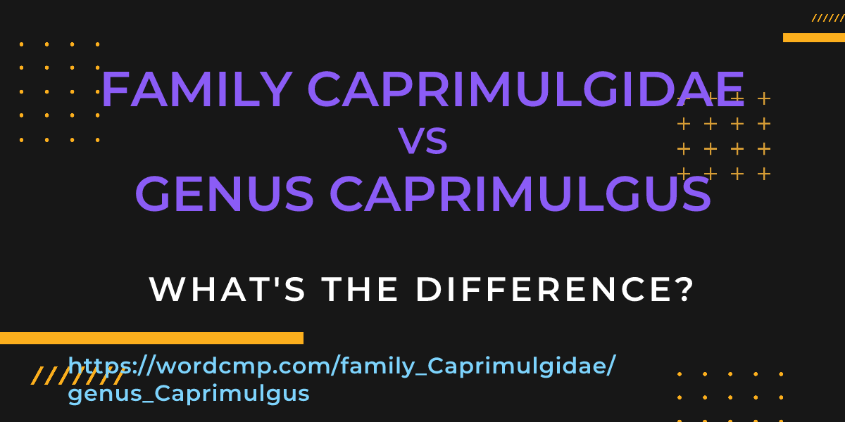 Difference between family Caprimulgidae and genus Caprimulgus