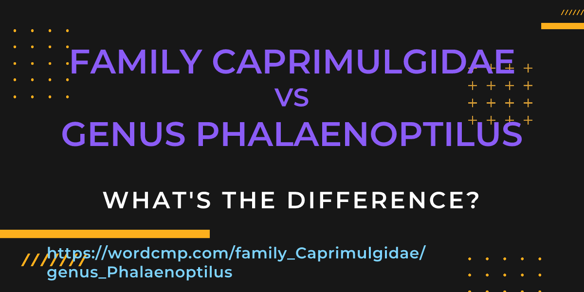 Difference between family Caprimulgidae and genus Phalaenoptilus
