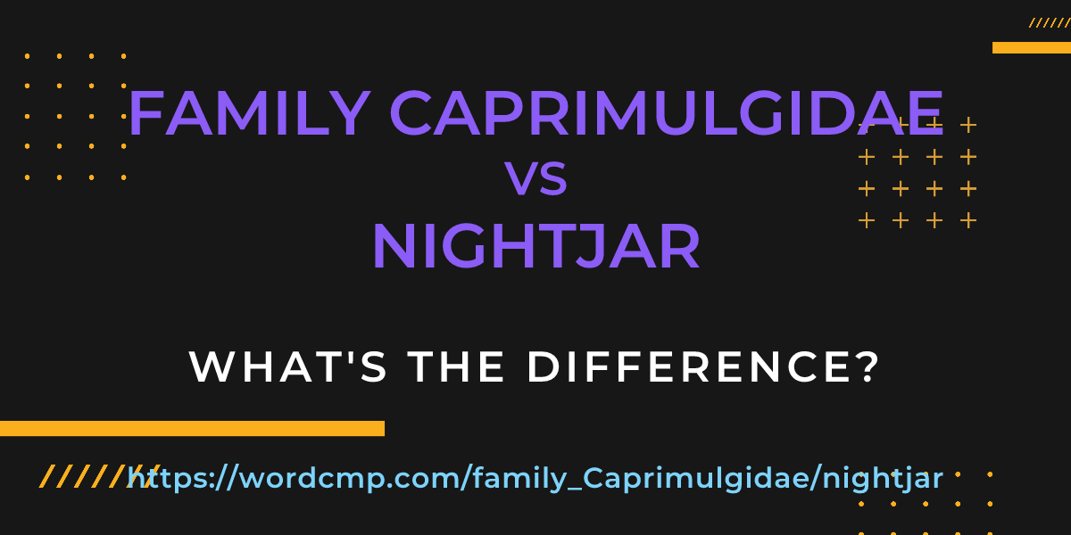 Difference between family Caprimulgidae and nightjar