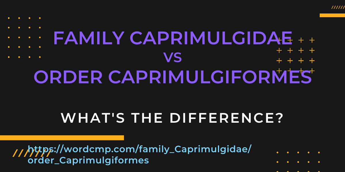Difference between family Caprimulgidae and order Caprimulgiformes