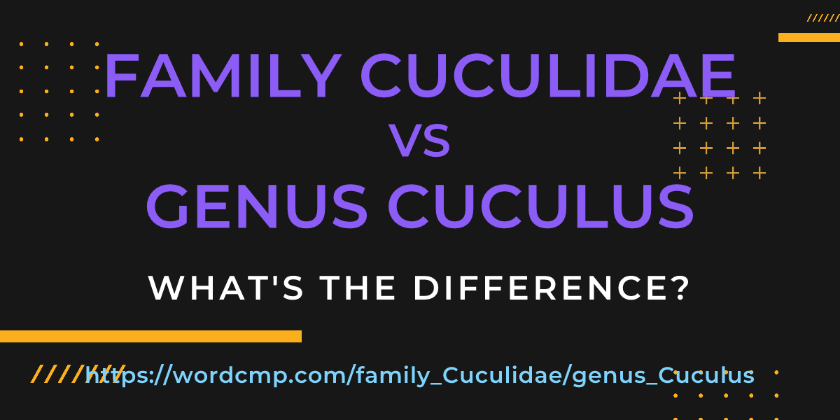 Difference between family Cuculidae and genus Cuculus