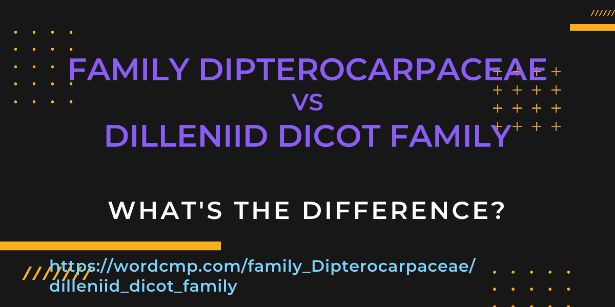 Difference between family Dipterocarpaceae and dilleniid dicot family