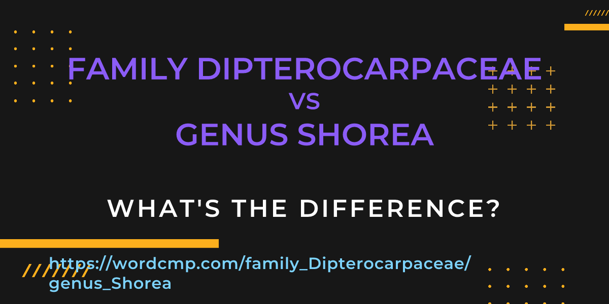 Difference between family Dipterocarpaceae and genus Shorea