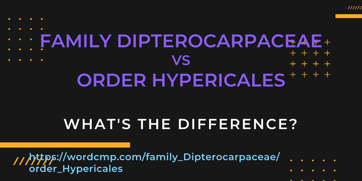 Difference between family Dipterocarpaceae and order Hypericales