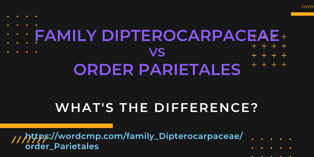 Difference between family Dipterocarpaceae and order Parietales
