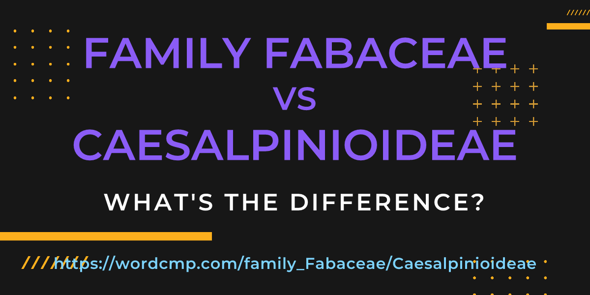 Difference between family Fabaceae and Caesalpinioideae