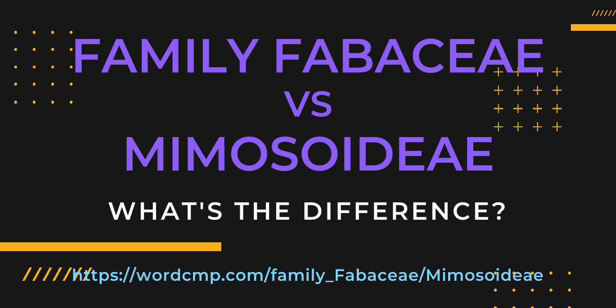 Difference between family Fabaceae and Mimosoideae