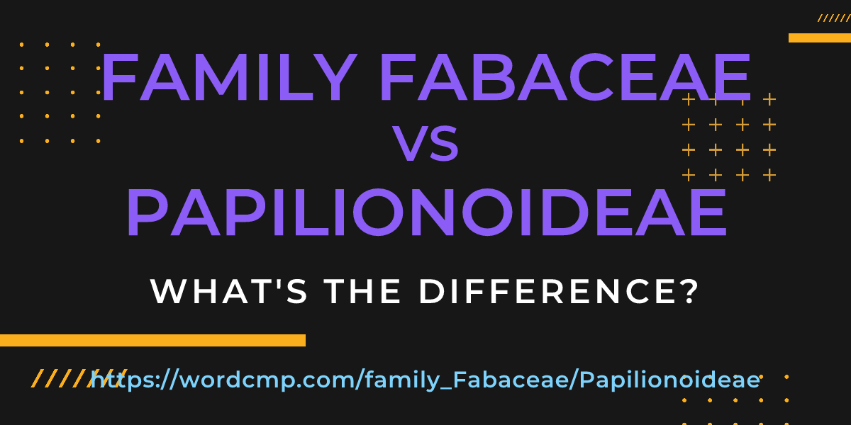 Difference between family Fabaceae and Papilionoideae