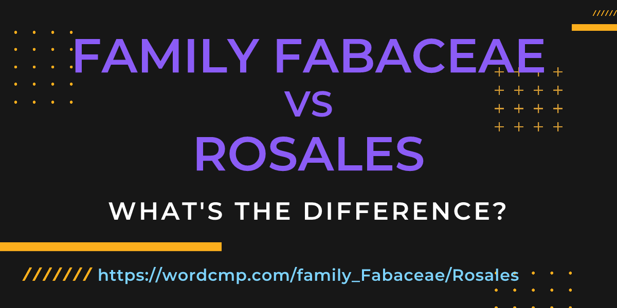 Difference between family Fabaceae and Rosales