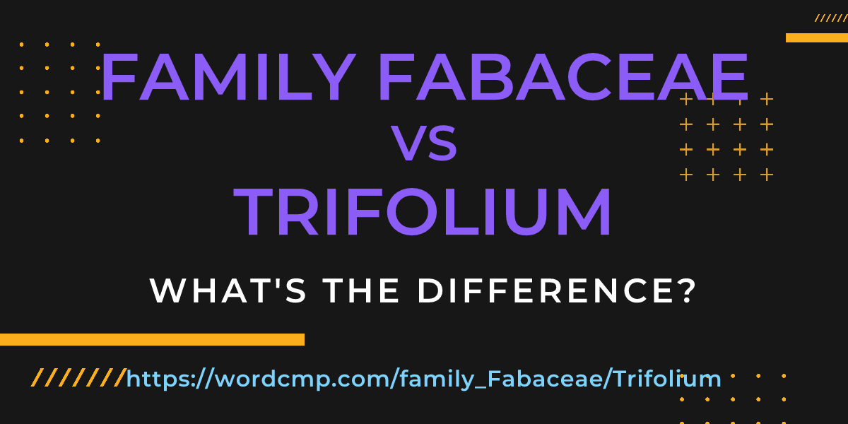 Difference between family Fabaceae and Trifolium