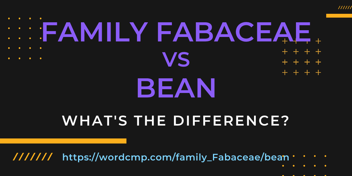 Difference between family Fabaceae and bean