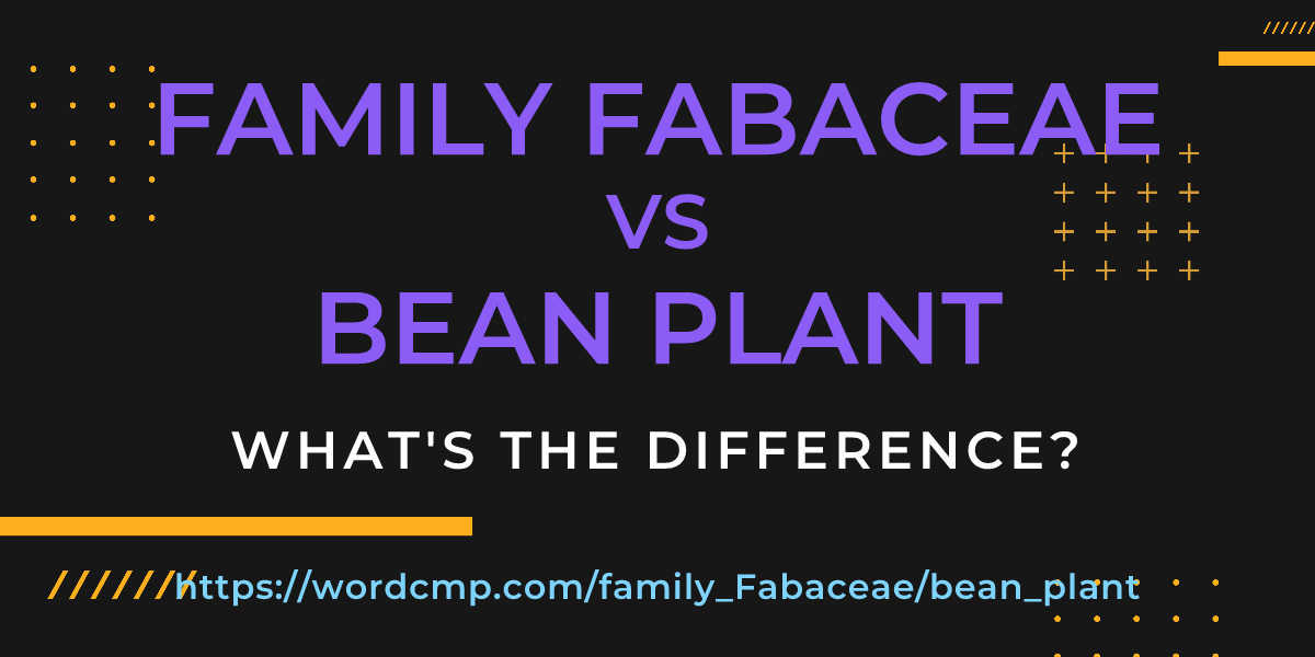 Difference between family Fabaceae and bean plant