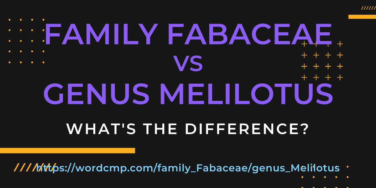 Difference between family Fabaceae and genus Melilotus