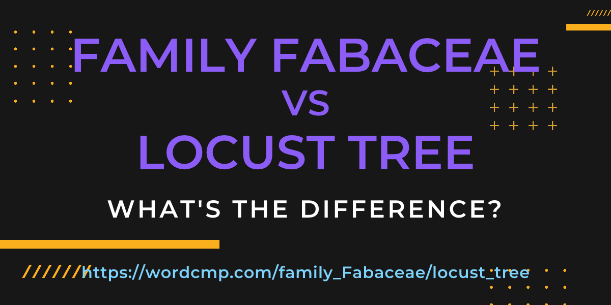 Difference between family Fabaceae and locust tree