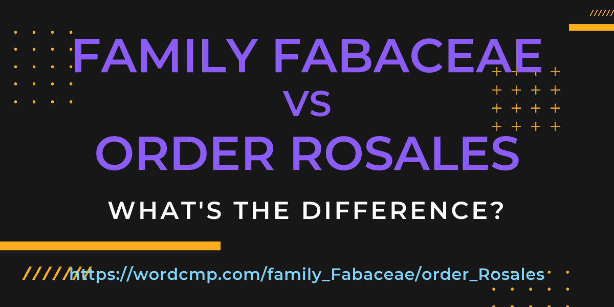 Difference between family Fabaceae and order Rosales