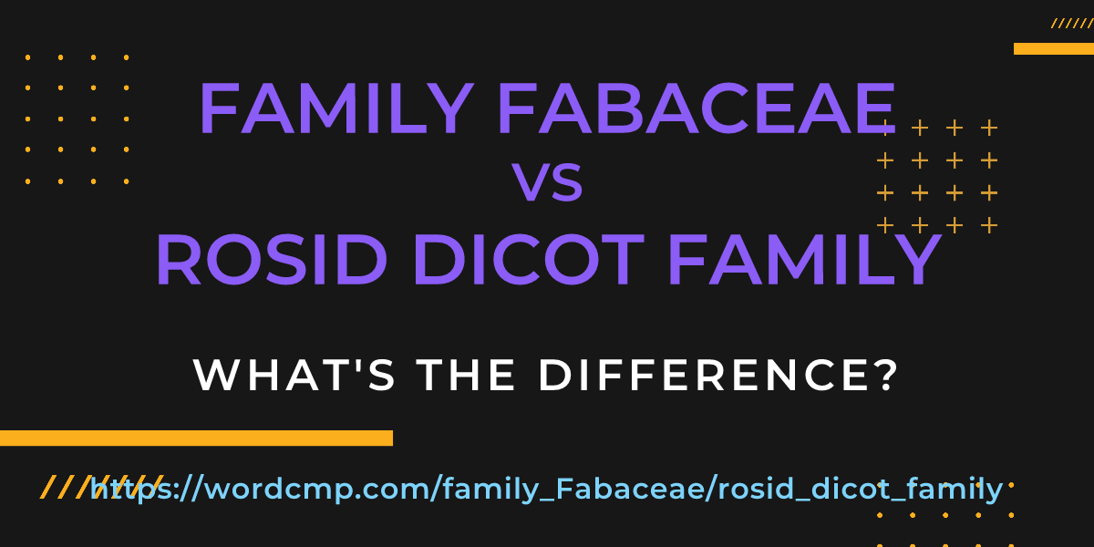 Difference between family Fabaceae and rosid dicot family