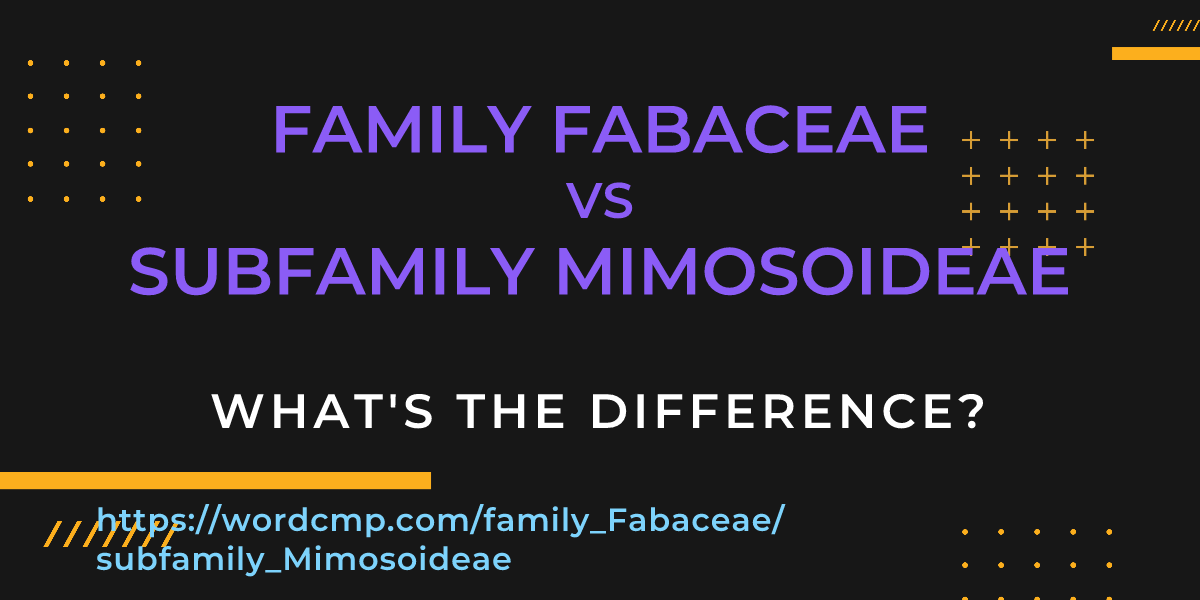 Difference between family Fabaceae and subfamily Mimosoideae