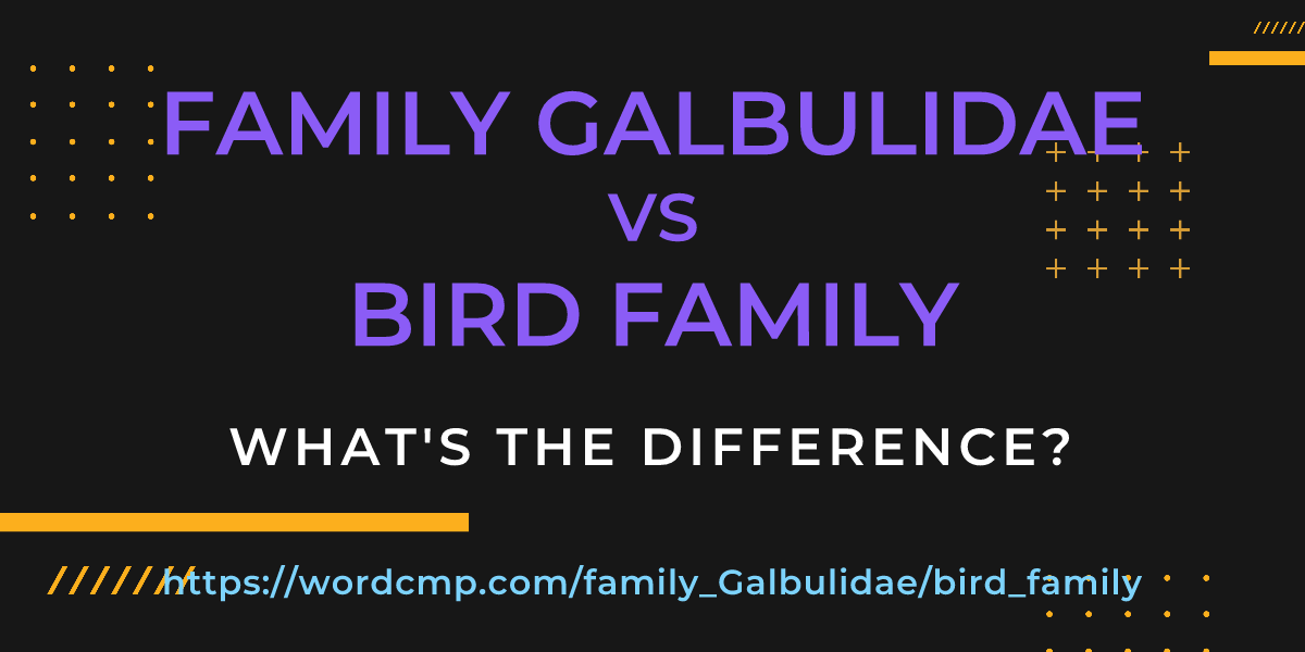 Difference between family Galbulidae and bird family