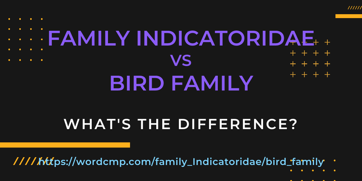 Difference between family Indicatoridae and bird family