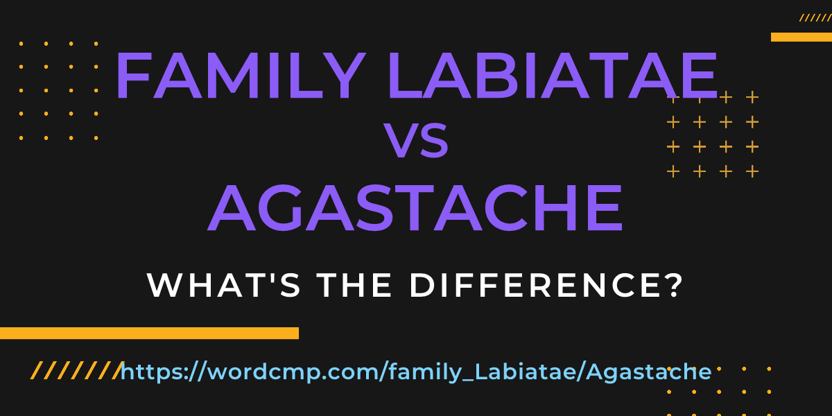 Difference between family Labiatae and Agastache