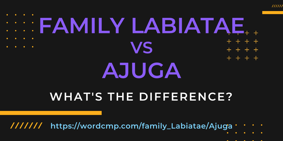 Difference between family Labiatae and Ajuga