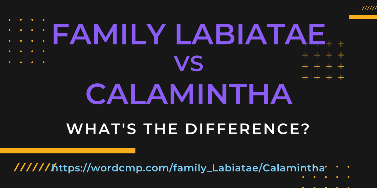 Difference between family Labiatae and Calamintha