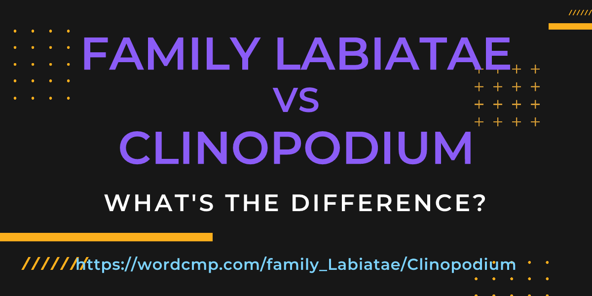 Difference between family Labiatae and Clinopodium