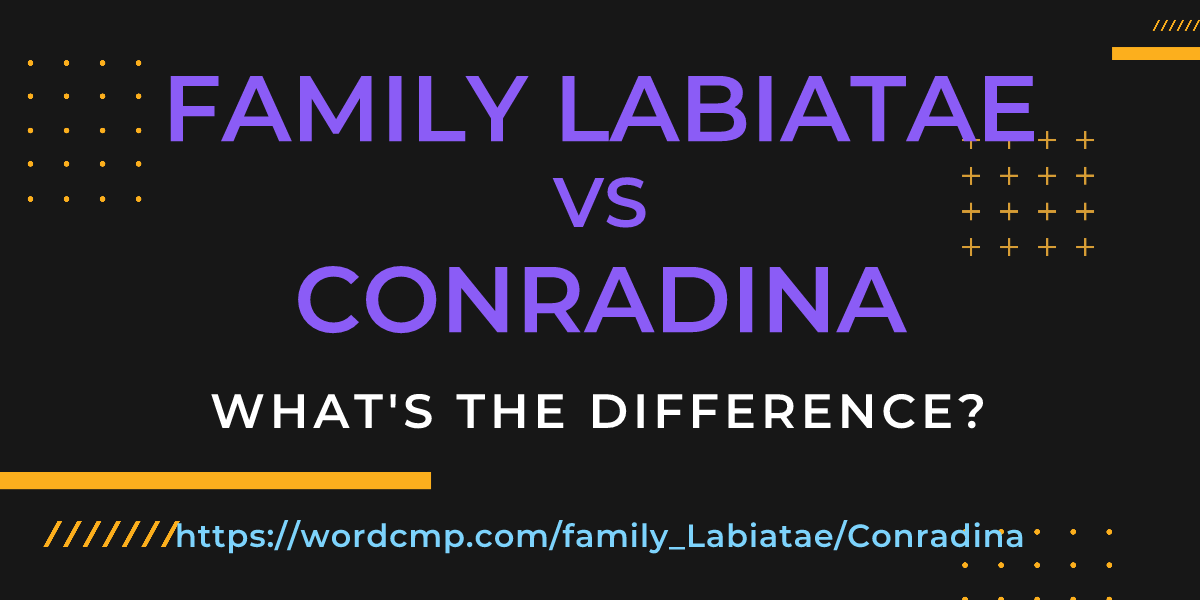 Difference between family Labiatae and Conradina