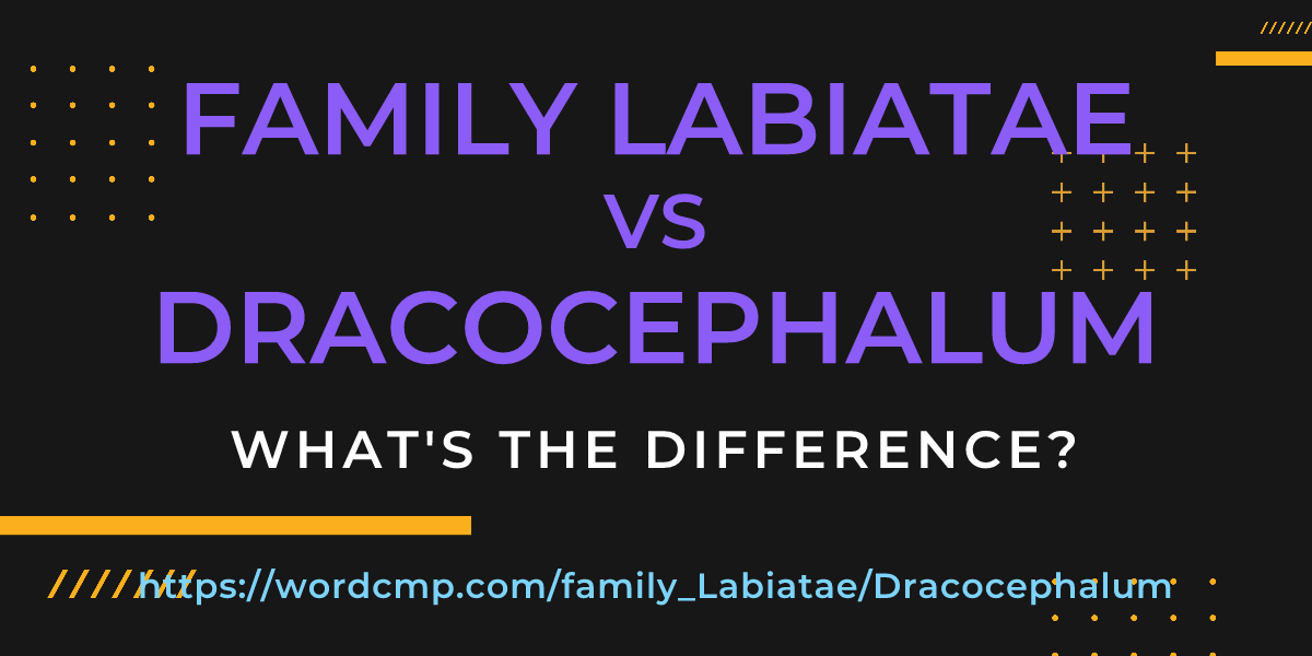 Difference between family Labiatae and Dracocephalum