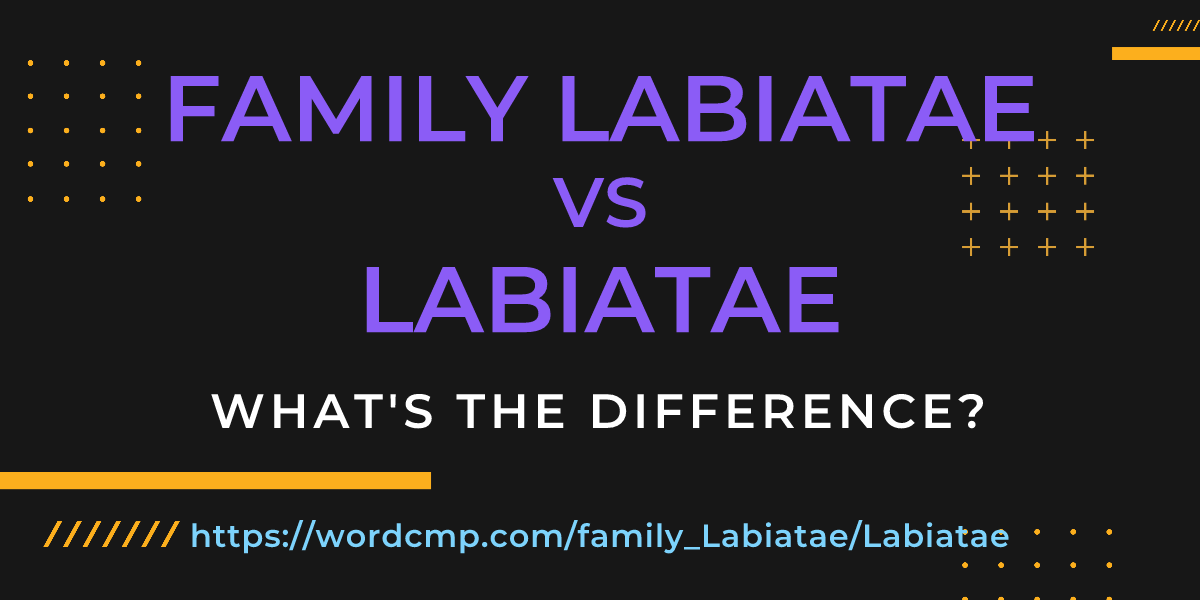 Difference between family Labiatae and Labiatae