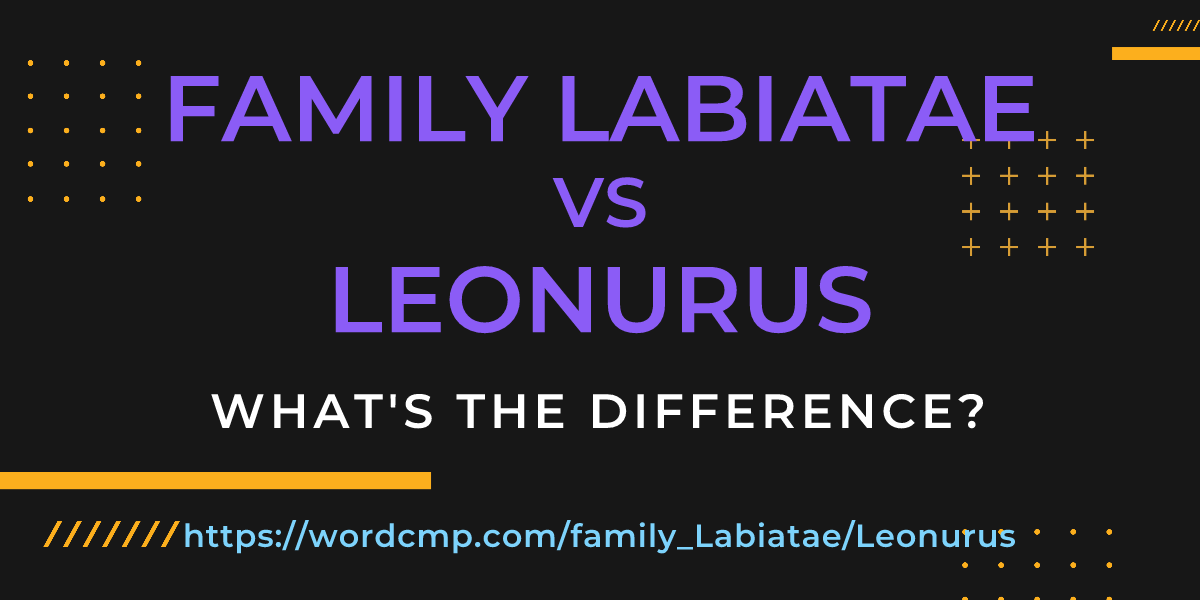 Difference between family Labiatae and Leonurus