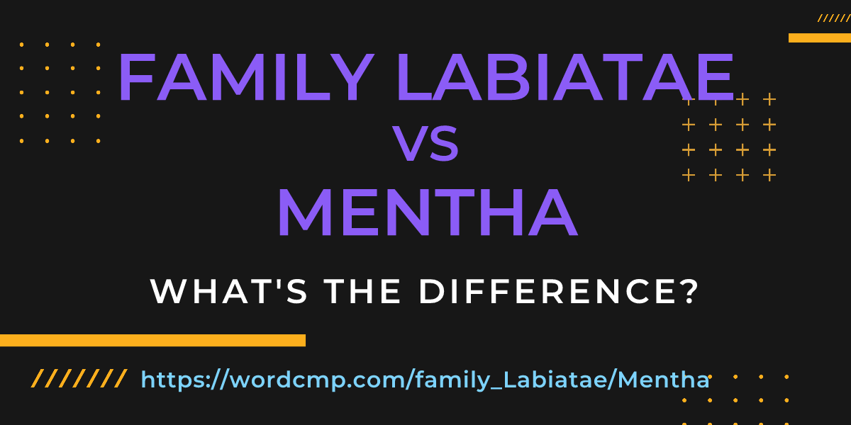 Difference between family Labiatae and Mentha