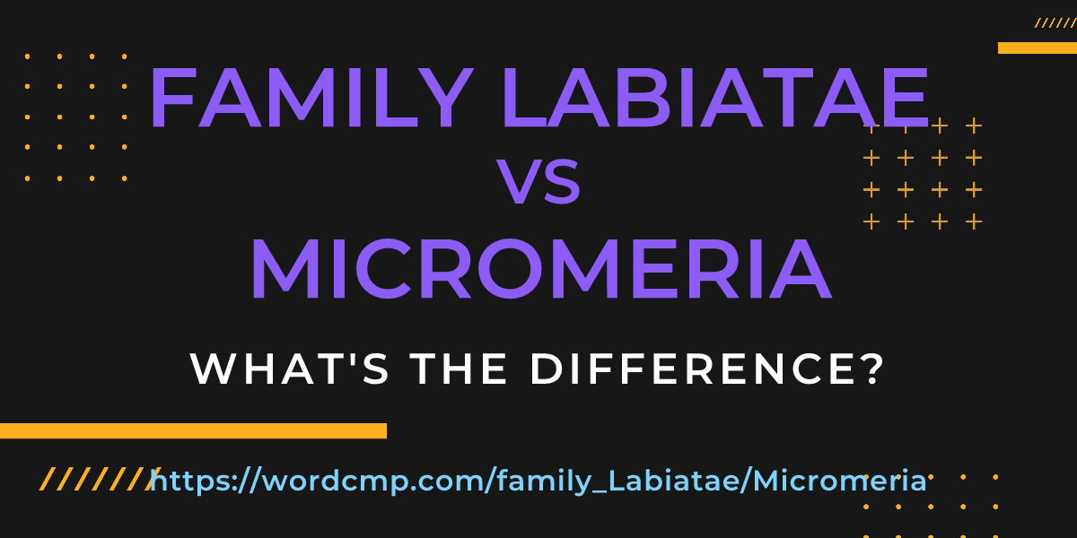 Difference between family Labiatae and Micromeria