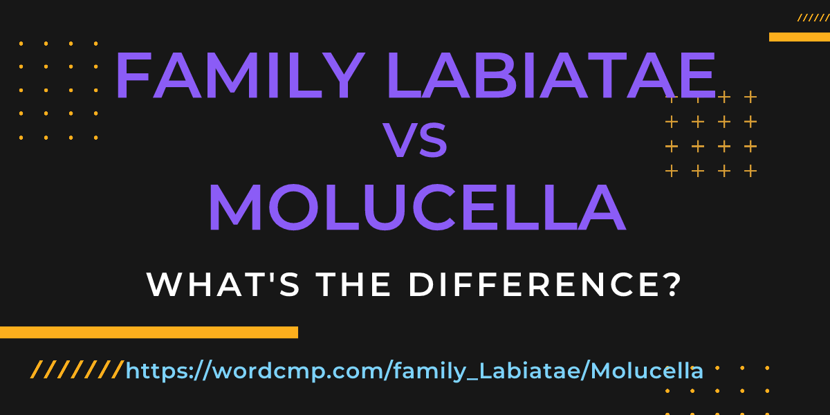 Difference between family Labiatae and Molucella